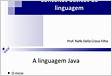Conceitos Básicos da Linguagem Java